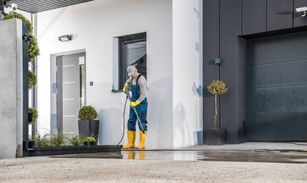 Best Driveway Pressure Washing  in Terra Bella, CA